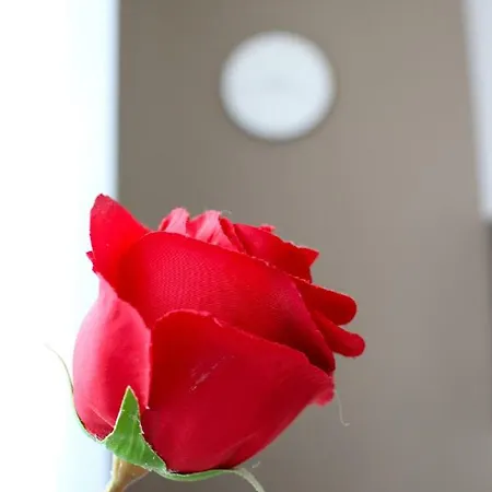 شقة Little Romance In *